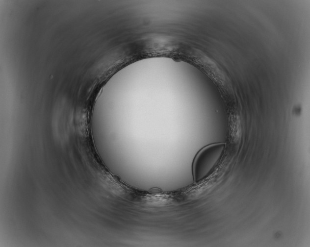 X0000100320378200806121109