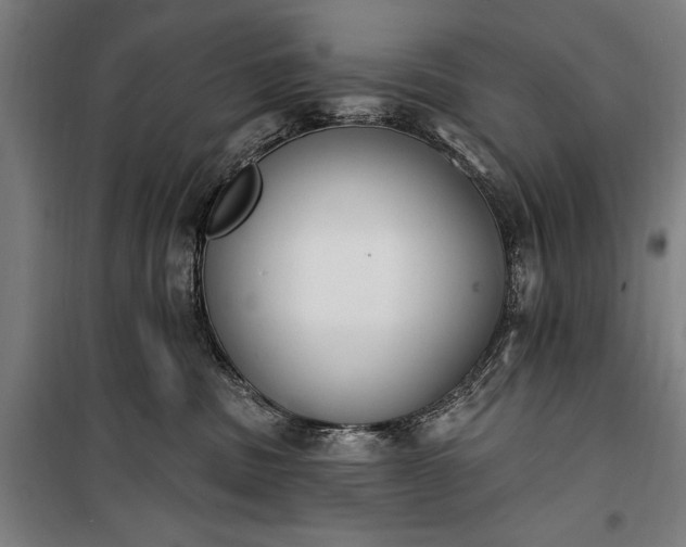 X0000100320379200806121109