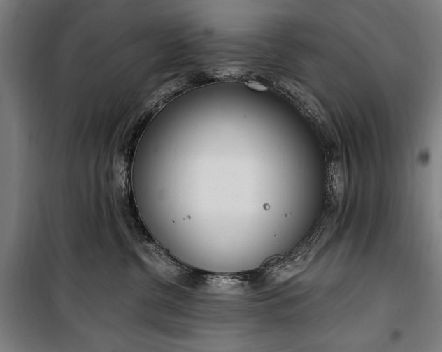 X0000100320380200806121109