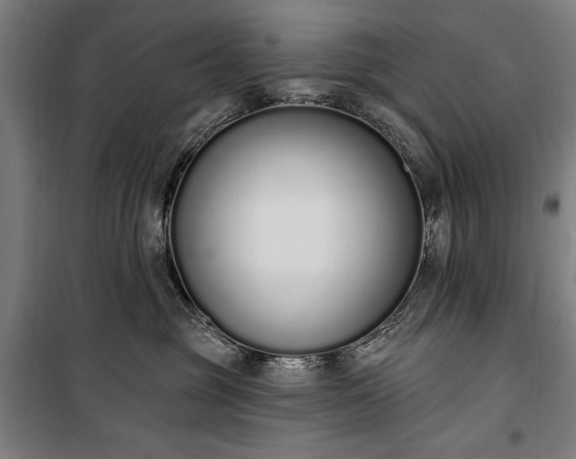 X0000100320381200806121109