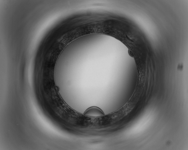 X0000100320383200806121110