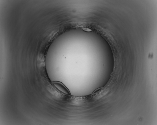 X0000100320384200806121110