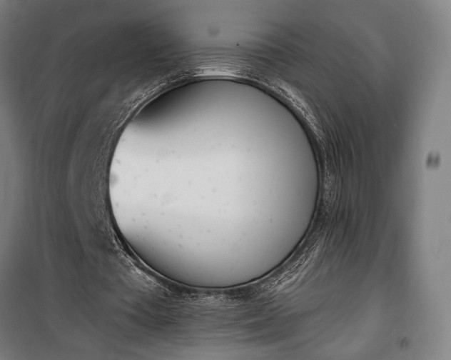 X0000100320385200806121109