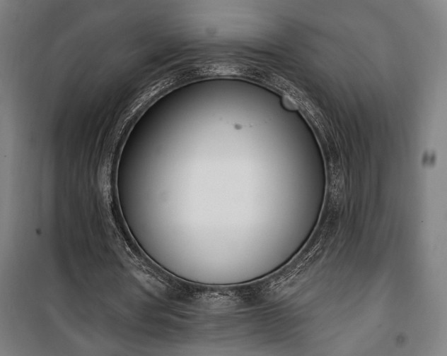 X0000100320386200806121109