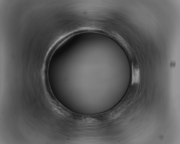 X0000100320387200806121109