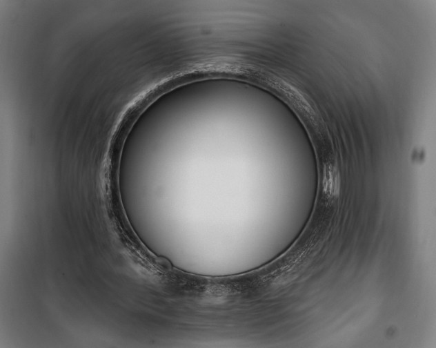 X0000100320388200806121109