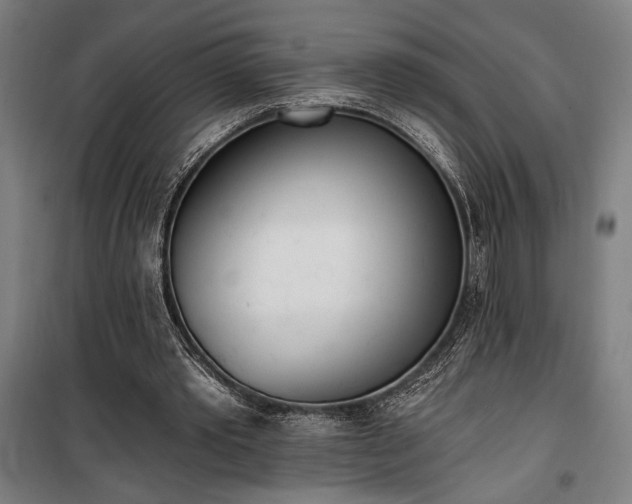 X0000100320389200806121109