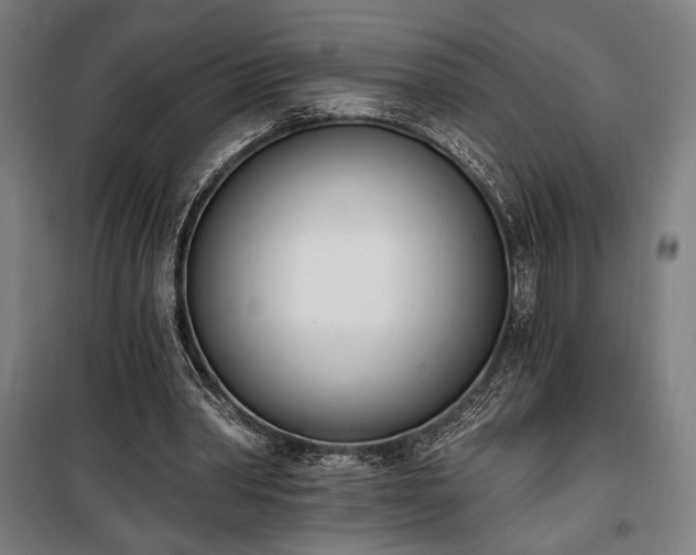 X0000100320390200806121109