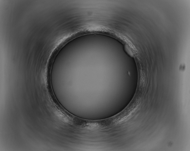 X0000100320391200806121109