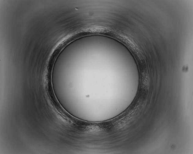 X0000100320392200806121109