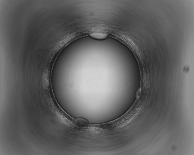 X0000100320393200806121109