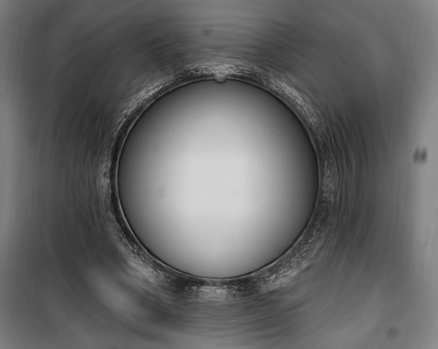 X0000100320394200806121109