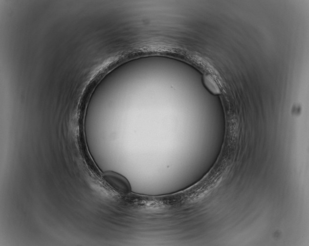 X0000100320395200806121109