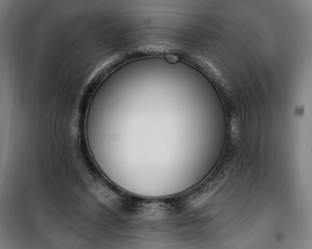 X0000100320396200806121109