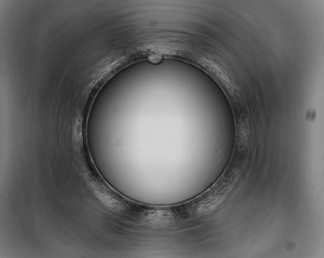 X0000100320398200806121109