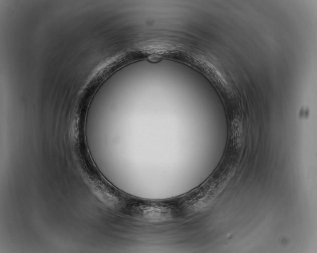 X0000100320400200806121109