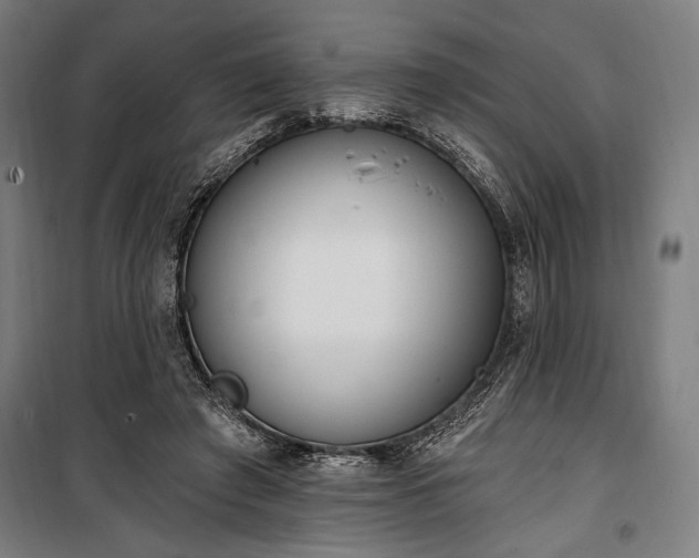 X0000100320401200806121109