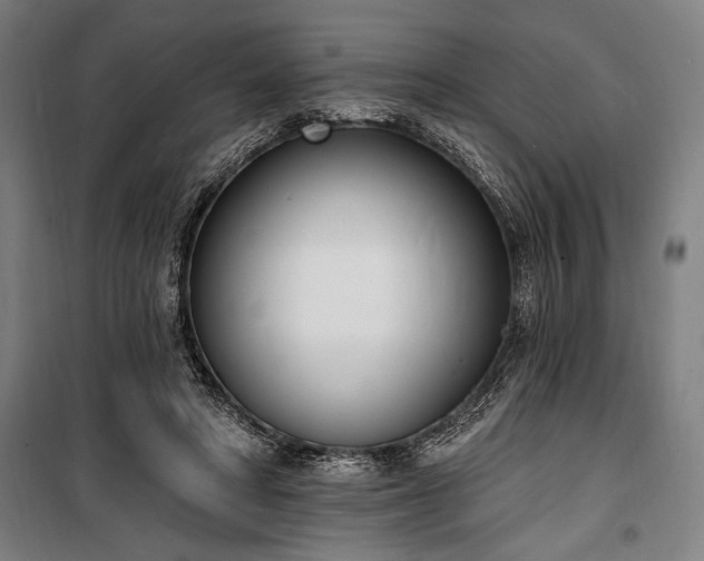 X0000100320402200806121109