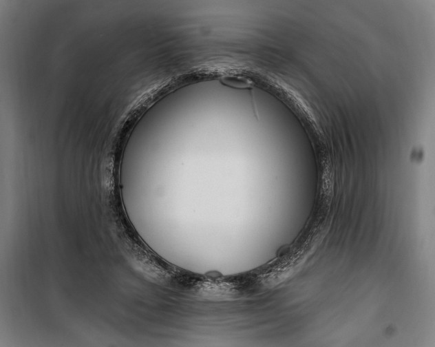 X0000100320403200806121109