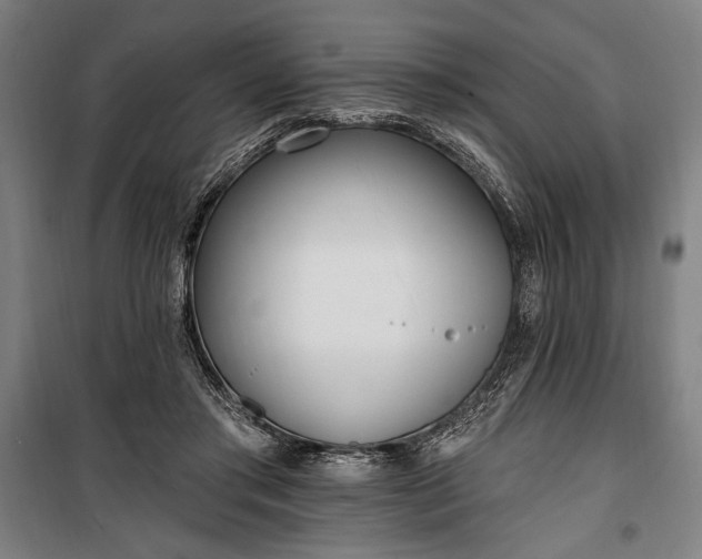 X0000100320405200806121109