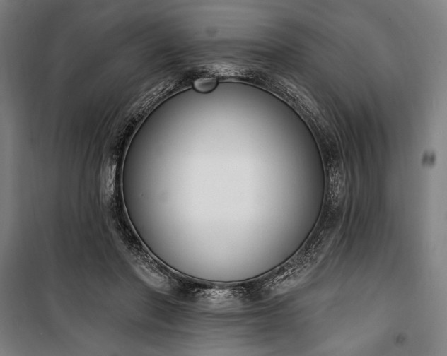 X0000100320406200806121109