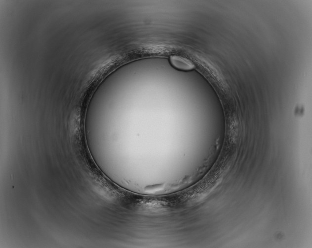 X0000100320407200806121109