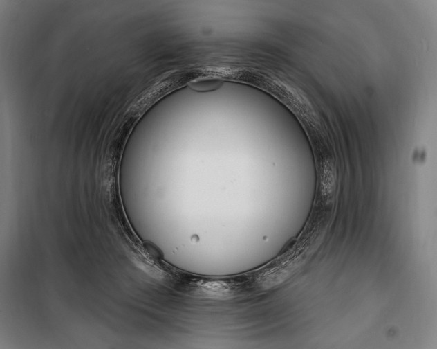 X0000100320409200806121109