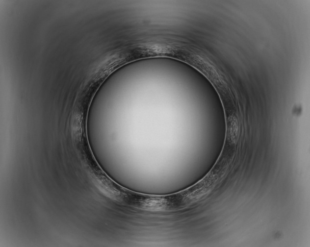 X0000100320410200806121109