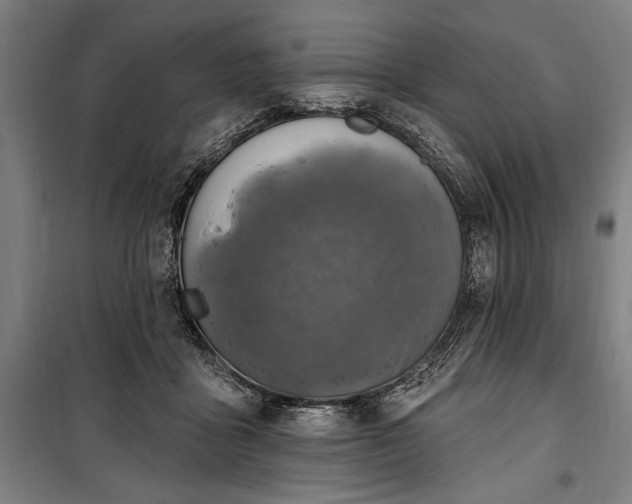 X0000100320411200806121108