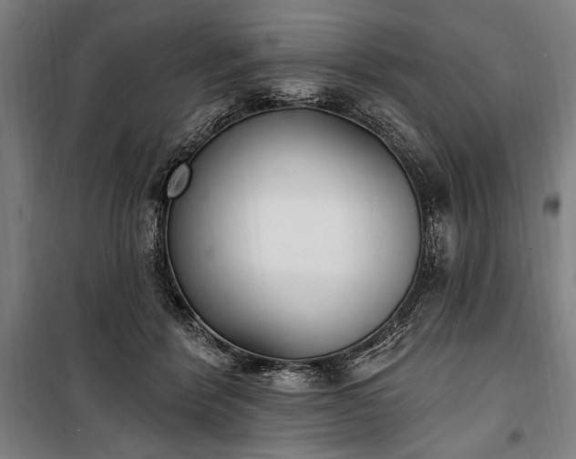 X0000100320412200806121108