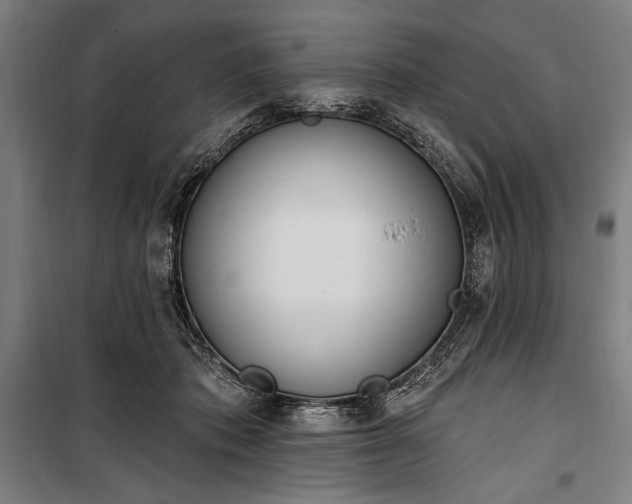 X0000100320413200806121108