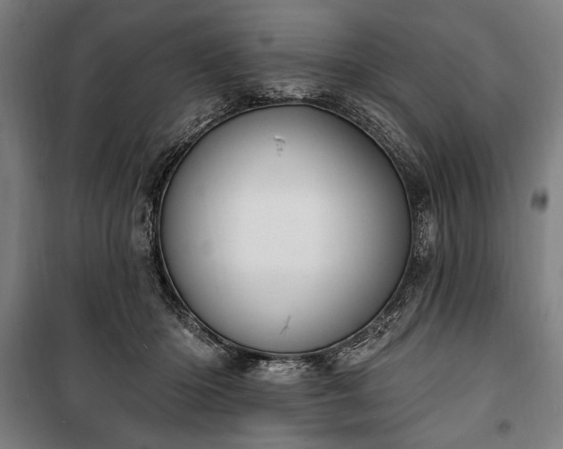 X0000100320414200806121108