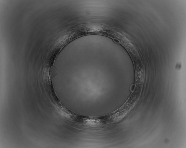 X0000100320415200806121108