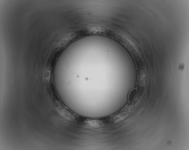 X0000100320417200806121108