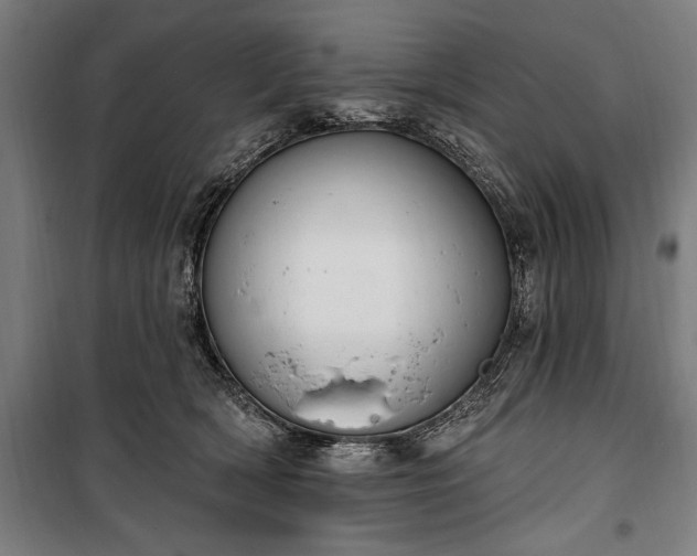 X0000100320418200806121108