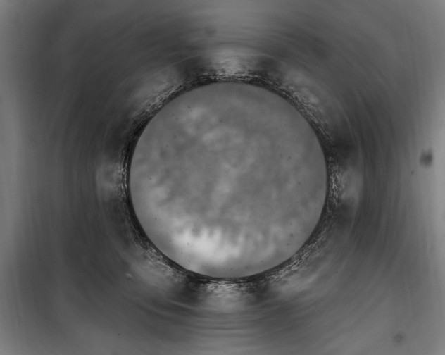 X0000100320419200806121108