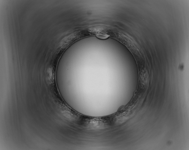 X0000100320420200806121108