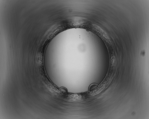 X0000100320421200806121108