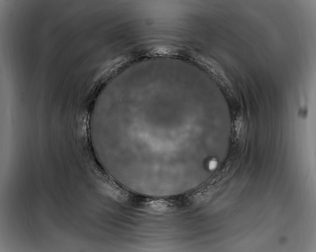 X0000100320423200806121108