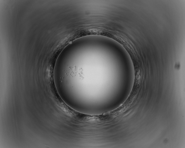 X0000100320424200806121108