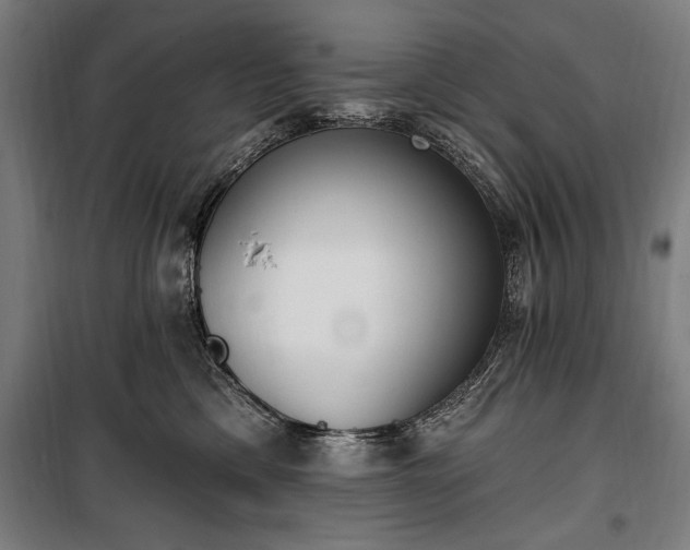 X0000100320425200806121108