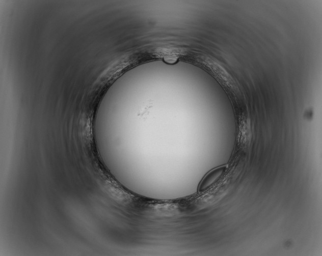 X0000100320426200806121108