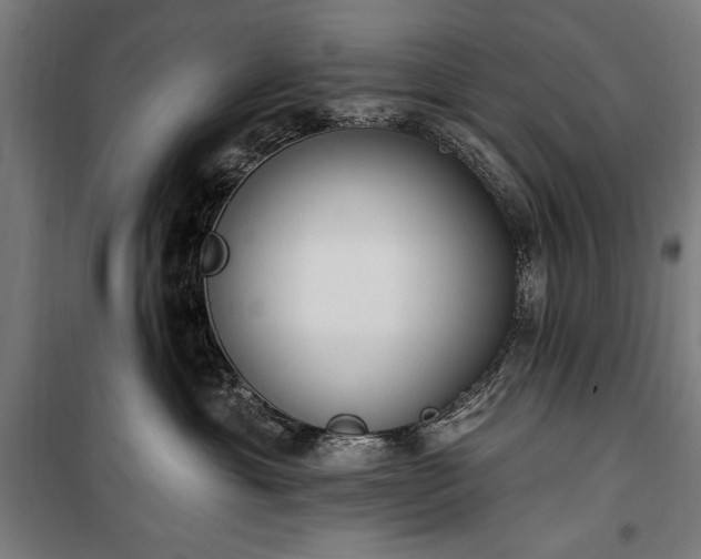 X0000100320429200806121108