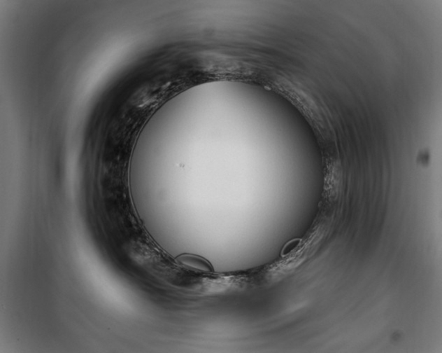 X0000100320430200806121108