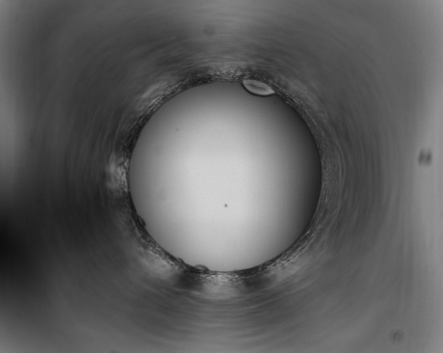 X0000100320432200806121108