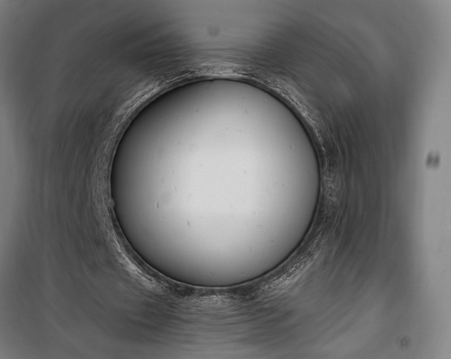 X0000100320433200806121107