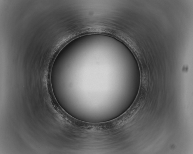 X0000100320434200806121108