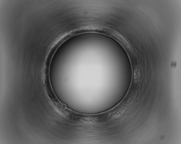 X0000100320436200806121108