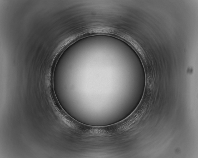 X0000100320437200806121108