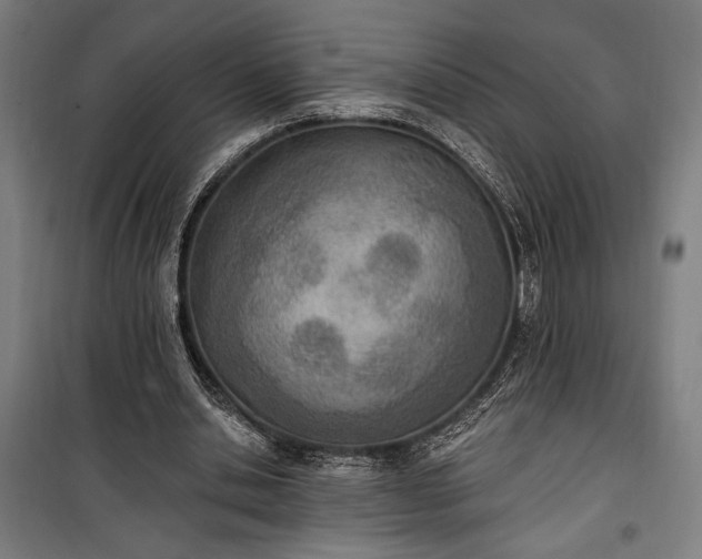 X0000100320438200806121108